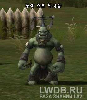    - Turek Orc Shaman