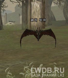    - Ruin Bat
