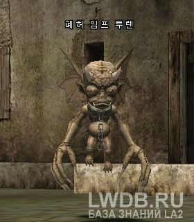    - Ruin Imp Elder