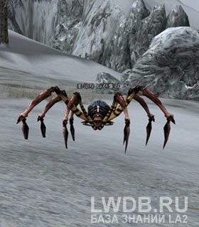   - Plunder Tarantula