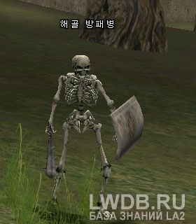   - Shield Skeleton