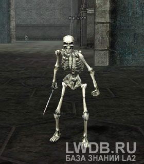   - Skeleton Hunter