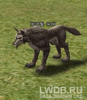   - Gray Wolf