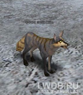    - Elder Longtail Keltir
