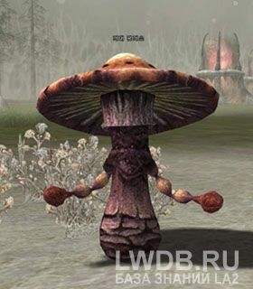   - Giant Fungus