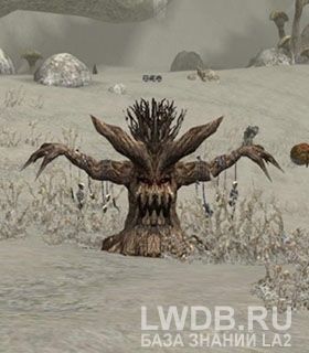   - Rotting tree