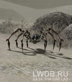   - Trisalim Spider
