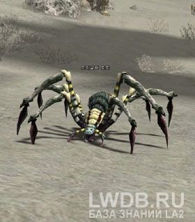  - Trisalim Tarantula