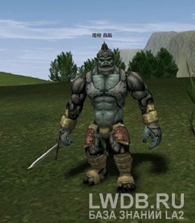   - Timak Orc