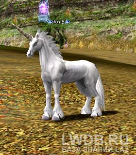  - Unicorn