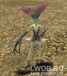   - Forest Runner