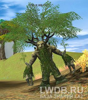   - Valley Treant Elder