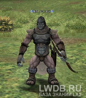    - Tamlin Orc Archer