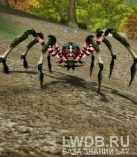   - Kronbe Spider