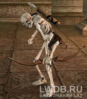   - Patin Archer