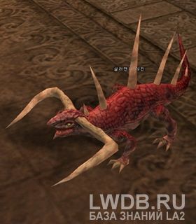   - Lakin Salamander