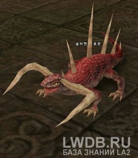   - Salamander Rowin