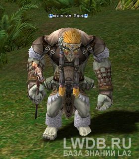    - Taik Orc Shaman
