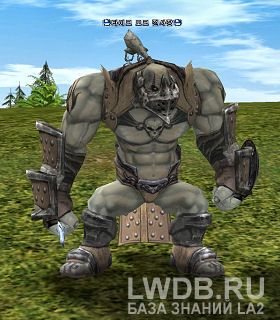    - Taik Orc Captain
