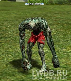   - Grave Wanderer