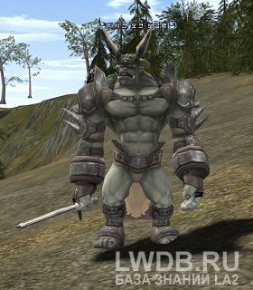    - Taik Orc Supply