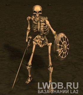    - Dragon Bearer Warrior