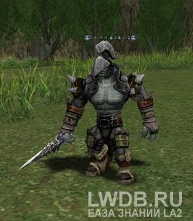     - Timak Orc Troop Leader