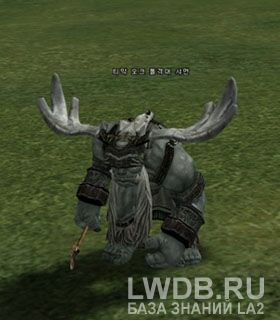     - Timak Orc Troop Shaman