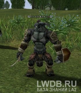     - Timak Orc Troop Warrior