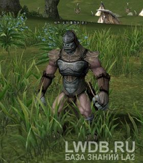     - Timak Orc Troop Archer