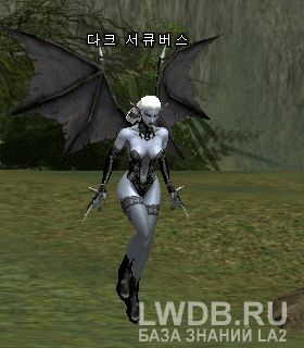   - Dark Succubus