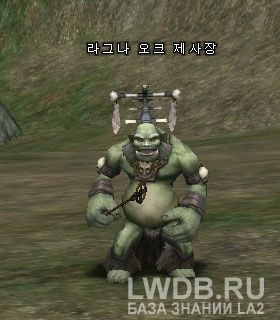    - Ragna Orc Seer