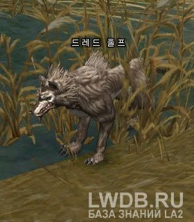   - Dread Wolf