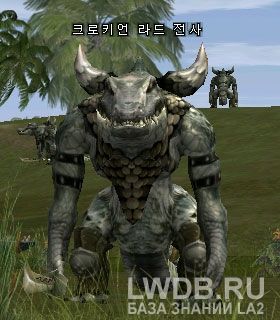    - Crokian Lad Warrior