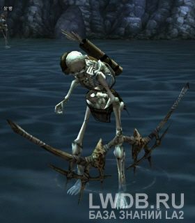   - Zaken's Archer