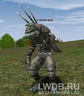    - Maille Lizardman Scout