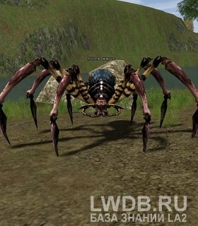   - Giant Araneid