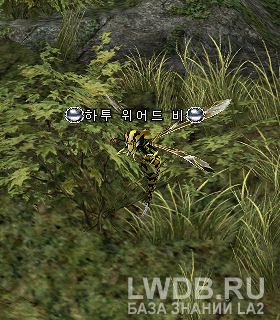    - Hatu Weird Bee