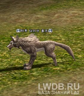    - Hatu Dire Wolf