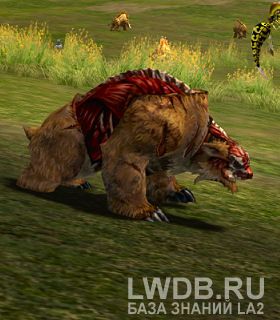    - Hatu Crimson Bear
