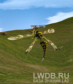   - Wasp Worker