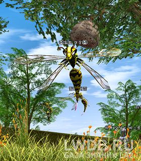   - Wasp Leader