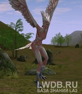    - Nightmare Guide