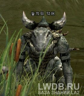   - Swamp Alligator