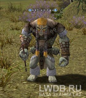    - Fallen Orc Shaman