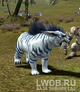   - Sharp Talon Tiger