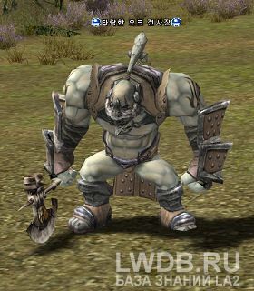    - Fallen Orc Captain