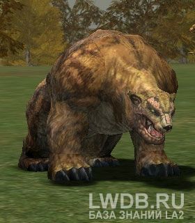   - Plain Grizzly