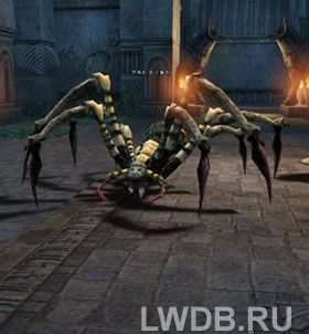   - Purgatory Tarantula