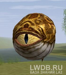    - Evil Eye Seer